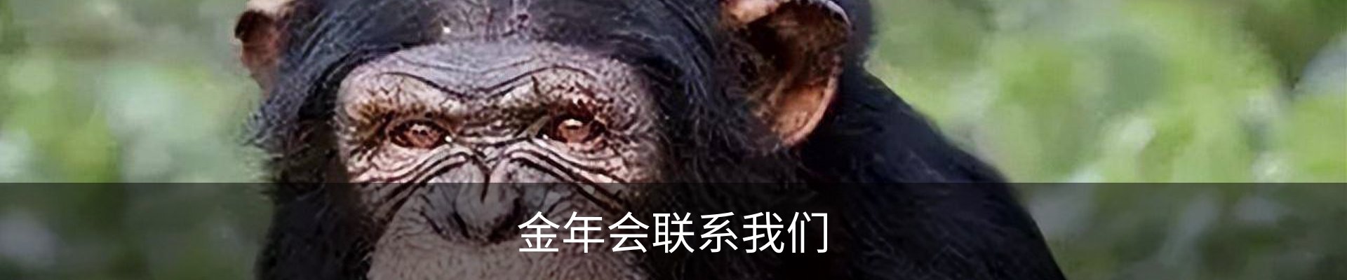 金年会联系我们